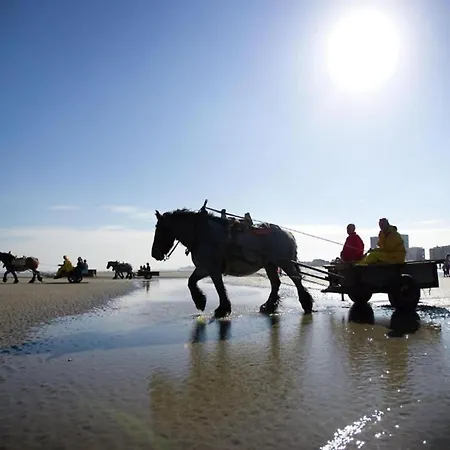 In With Stunning Sea Views, Cleaning Included Nieuwpoort